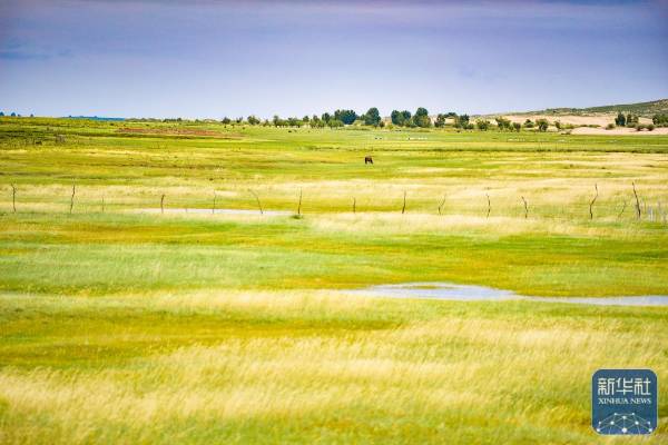 1757999328460333.jpg 13.jpg