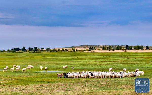 1757999335925297.jpg 14.jpg