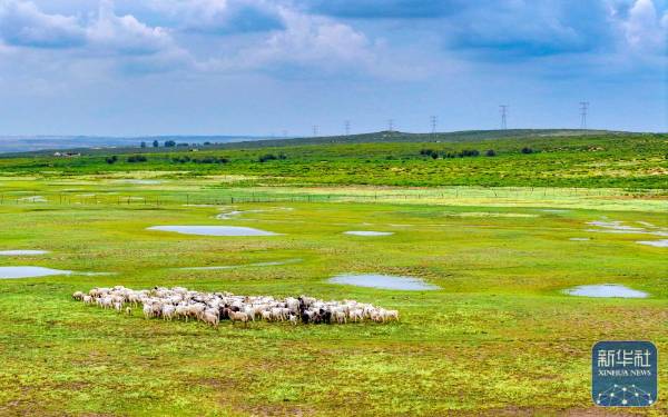 1757999370814287.jpg 15.jpg