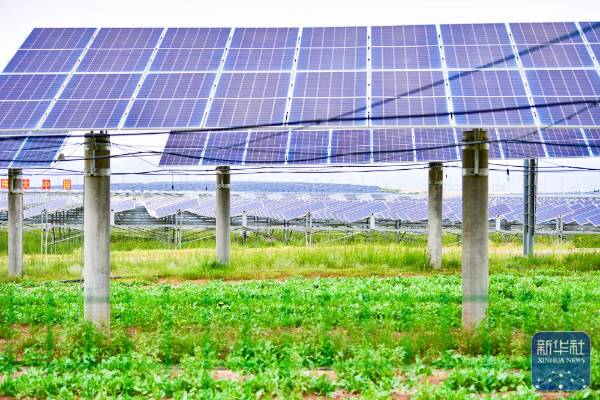 1757999420324950.jpg 22.jpg