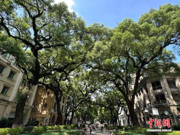 1757999557225571.jpg 1 (1).jpg