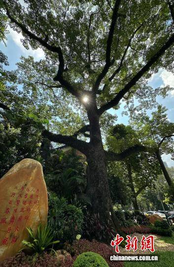 1757999567234505.jpg 2 (1).jpg