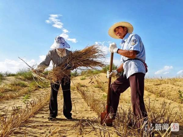 1758000129425782.jpg 5.jpg