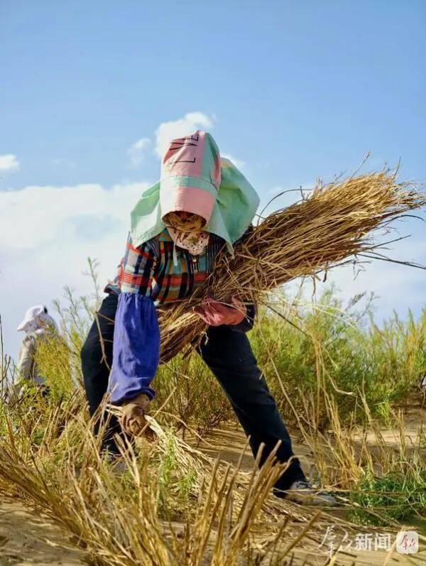 1758000137887093.jpg 6.jpg