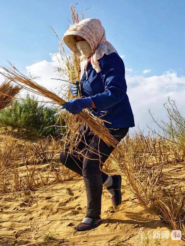 1758000165979699.jpg 8.jpg