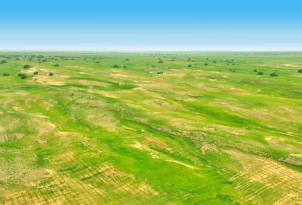 1758072275804052.jpg 6.jpg