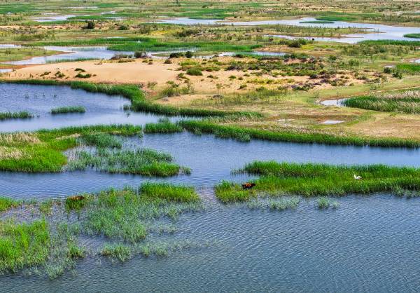 1758079243857244.jpg 5.jpg