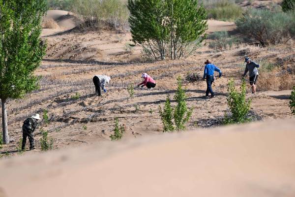 1758079262109980.jpg 6.jpg