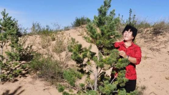 1758080137379580.png 18.png