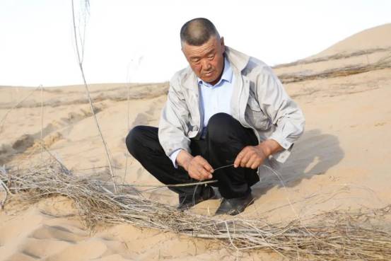 1758080156247399.png 19.png