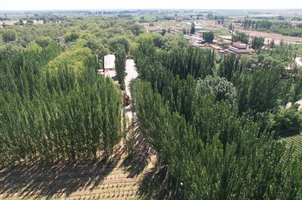 1758085535651109.jpg 25.jpg