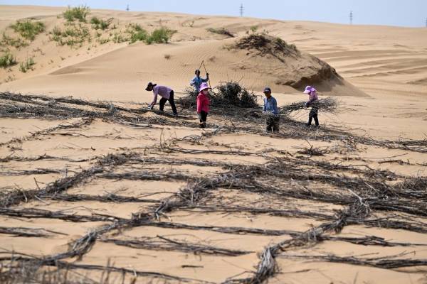 1758085575462347.jpg 27.jpg