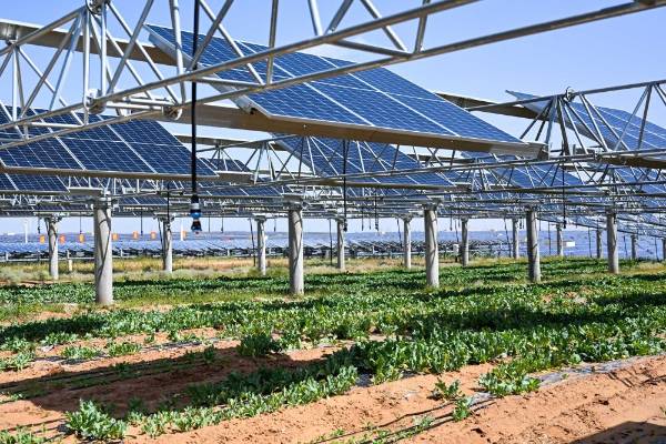 1758085595967121.jpg 28.jpg