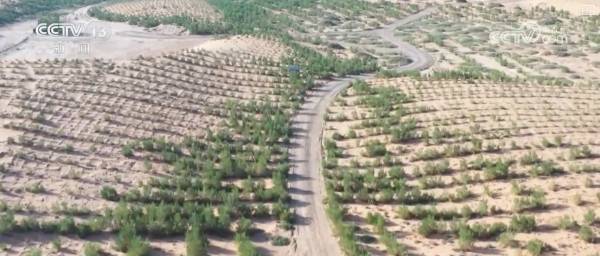 1758160386180494.png 1.png