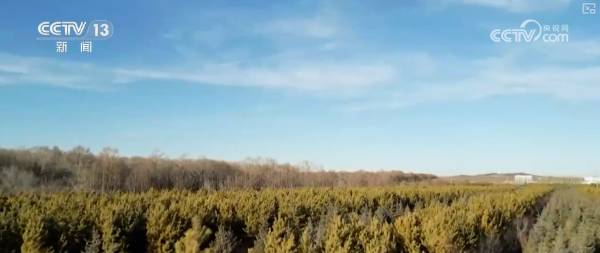 1758160413107659.png 4.png