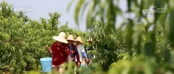 1758160428537188.png 5.png