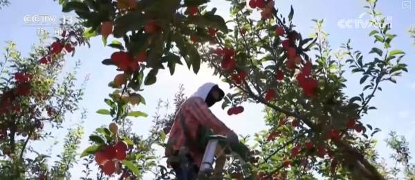 1758160435858989.png 7.png