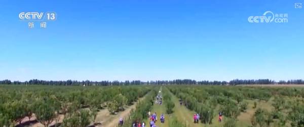 1758160448530454.png 8.png