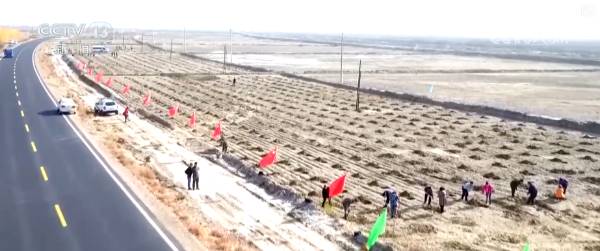 1758160452345208.png 9.png