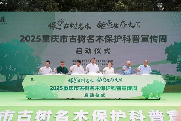 1758262987125663.jpg 1 (1).jpg