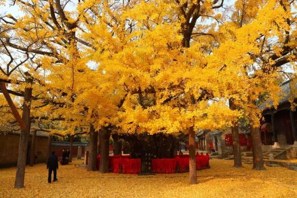 1758508563583511.jpg 3.jpg