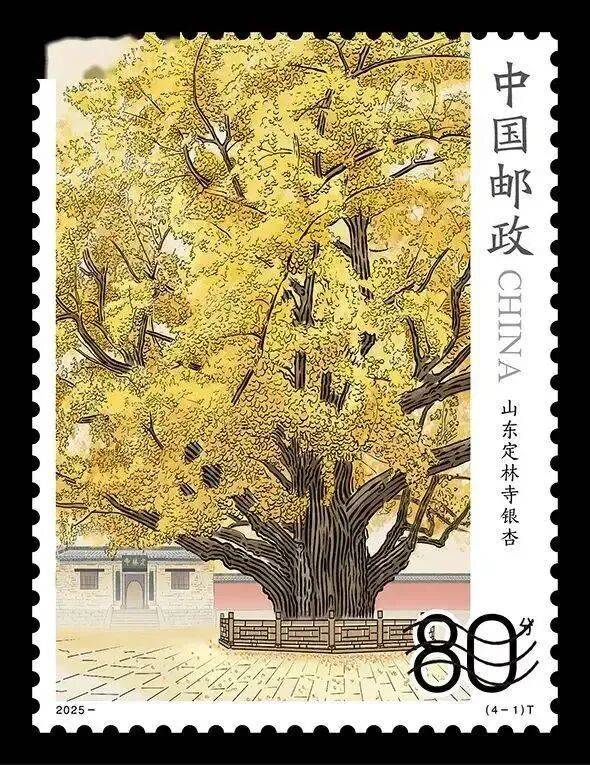 1758508570177570.jpg 4.jpg