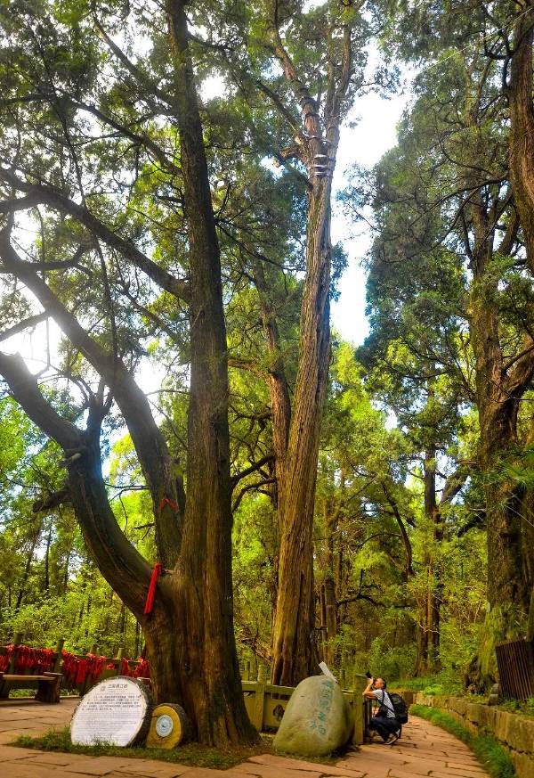 1758508577659317.jpg 5.jpg