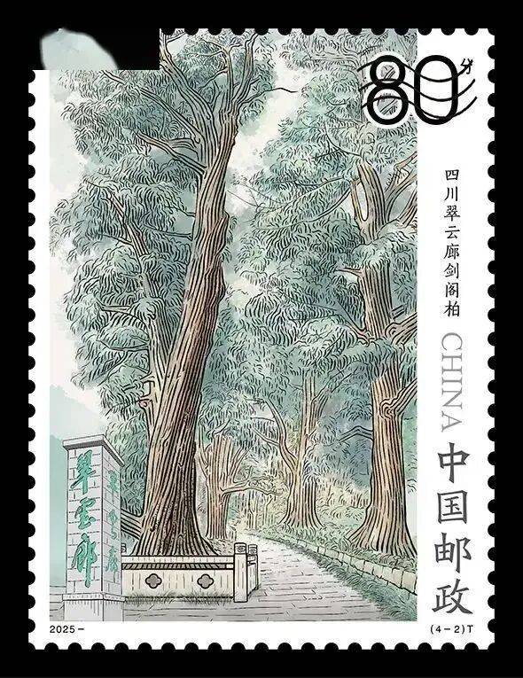 1758508584647128.jpg 6.jpg