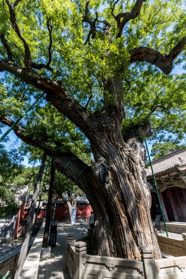 1758508590372144.png 7.png