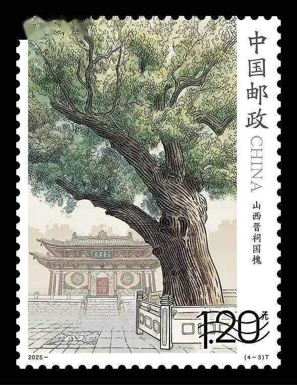 1758508596214514.jpg 8.jpg