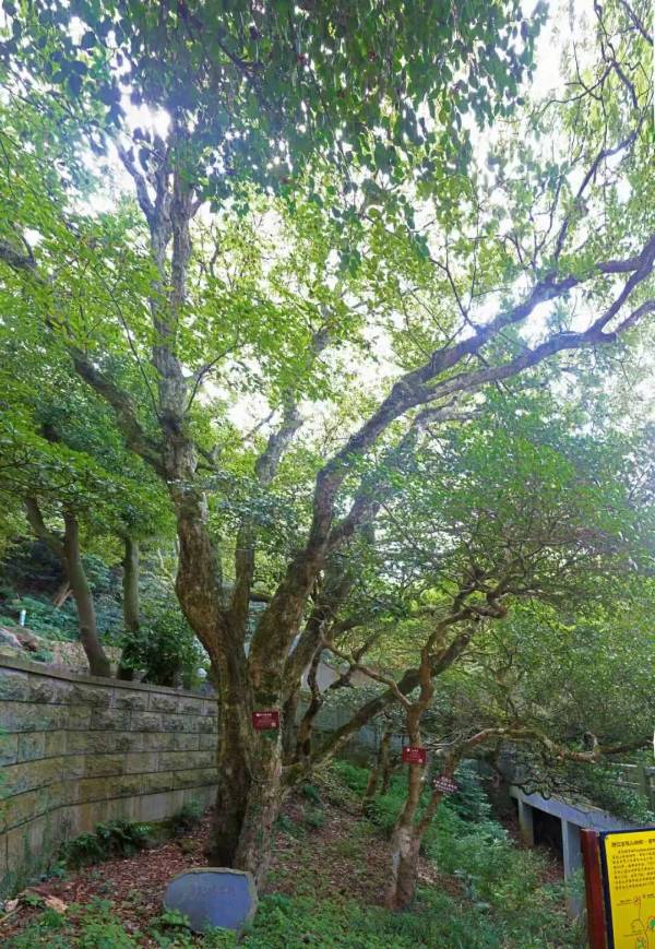 1758508601132450.jpg 9.jpg