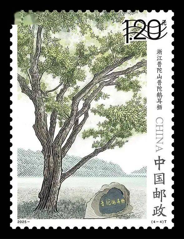 1758508608959608.jpg 10.jpg