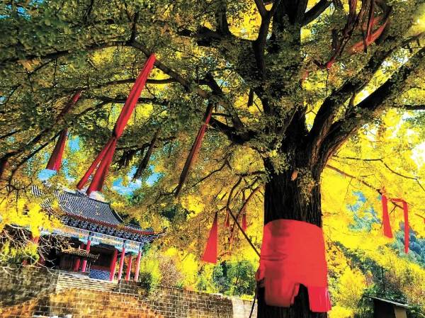 1758508639841846.jpg 11.jpg