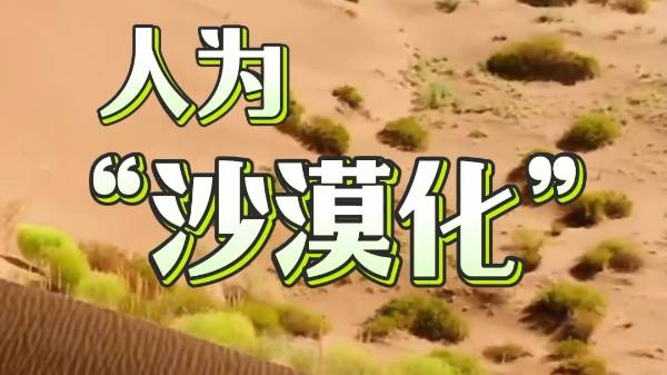 1758508859618470.jpg 13.jpg