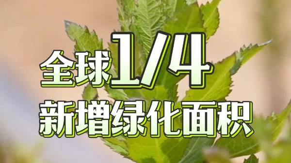 1758508872833278.jpg 15.jpg