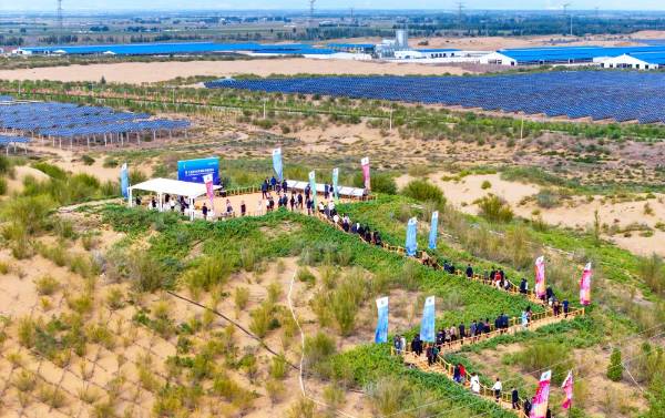 1758509114744153.jpg 16.jpg