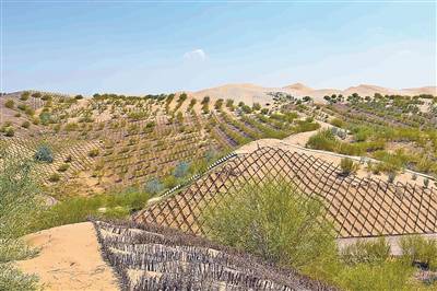 1758509345468275.jpg 19.jpg