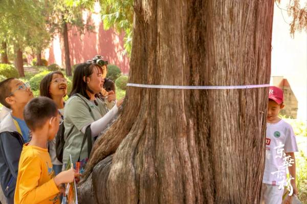 1758594909526227.jpg 4.jpg