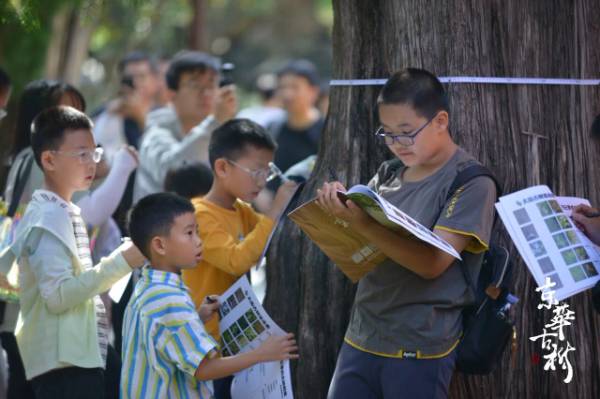 1758594915620503.jpg 5.jpg