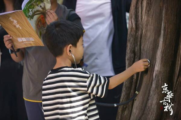 1758594959376593.jpg 8.jpg