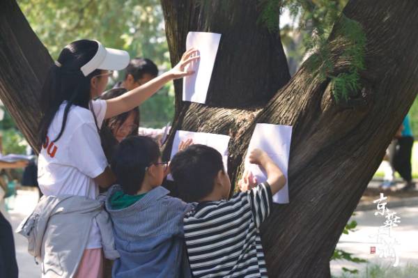 1758595000283677.jpg 10.jpg