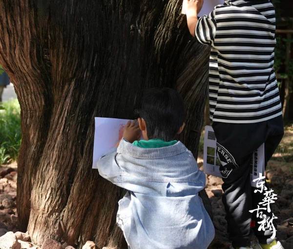 1758595009208258.jpg 11.jpg