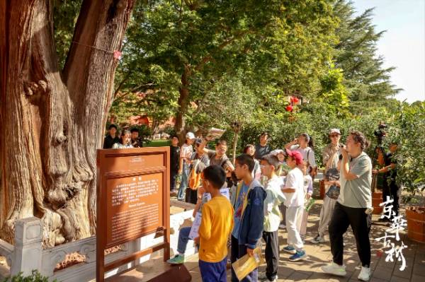 1758595107647958.jpg 18.jpg