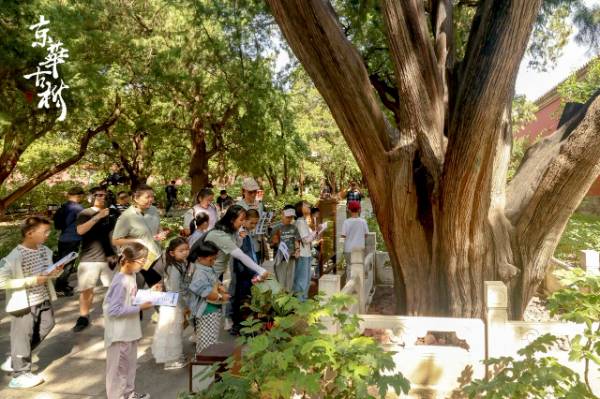 1758595122462502.jpg 20.jpg