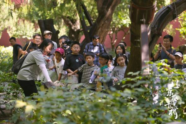 1758595129210101.jpg 21.jpg