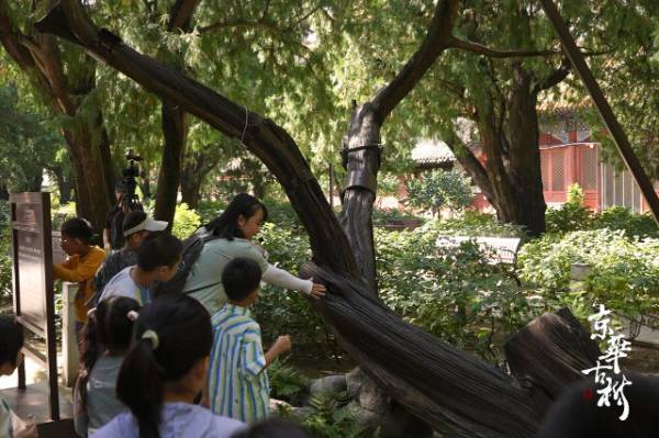 1758595136367342.jpg 22.jpg