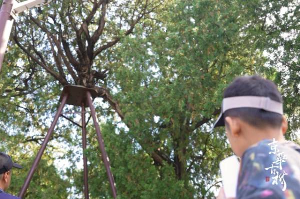 1758595147961938.jpg 23.jpg