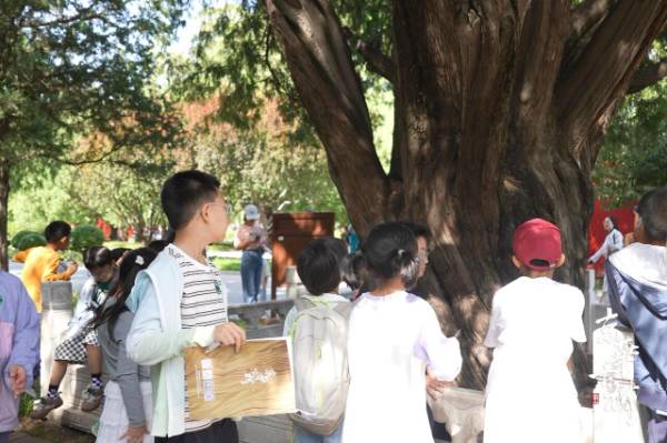 1758595157234447.jpg 24.jpg