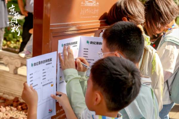 1758595181580344.jpg 28.jpg