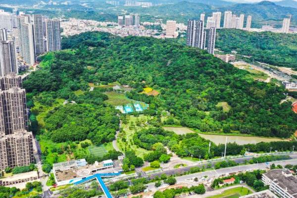 1758598455597375.jpg 22 (1).jpg